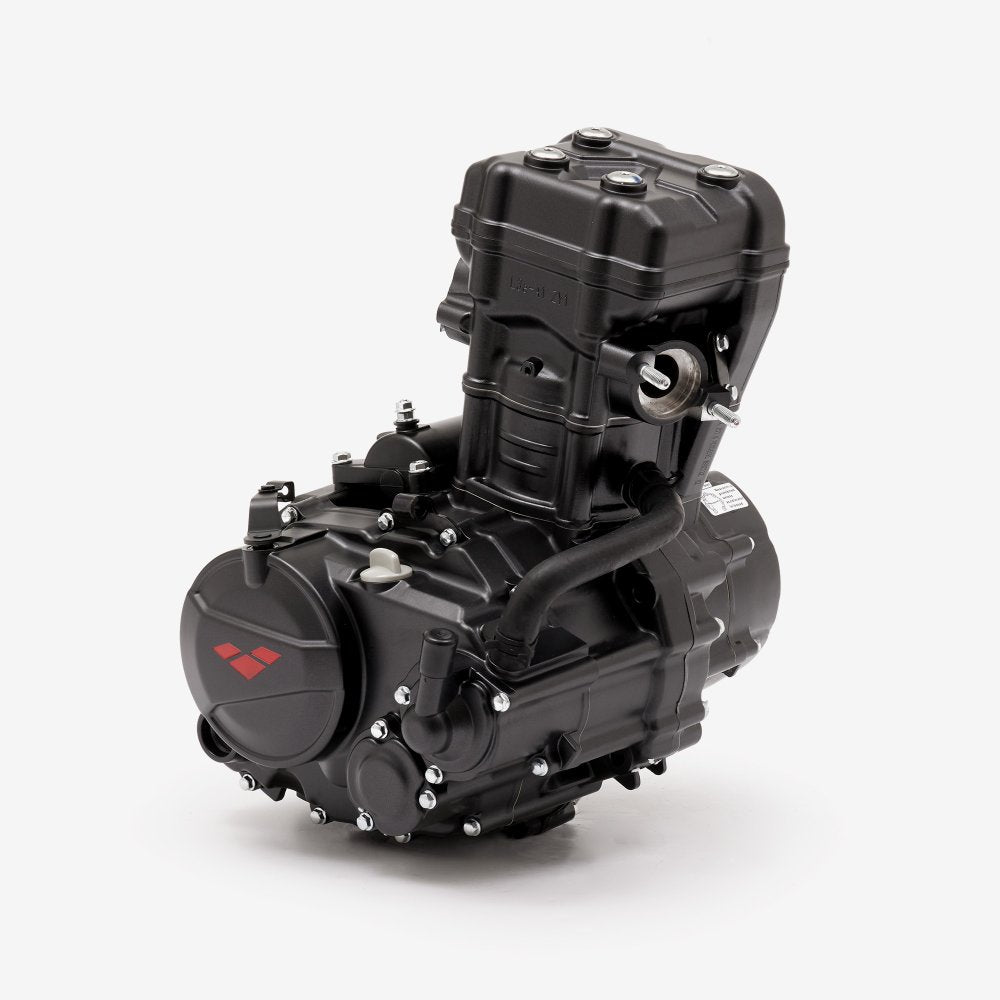 125cc Motorcycle Engine for TR125-3-E5