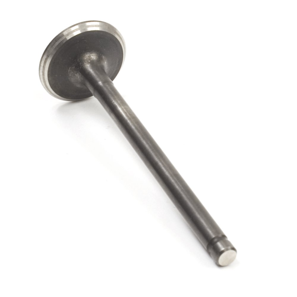 100cc Motorcycle Exhaust Valve 1P50FMG for LF100-A