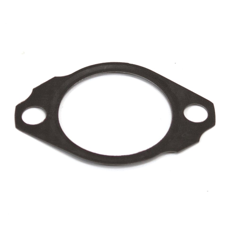 125cc Cam Chain Tensioner Gasket ZY125